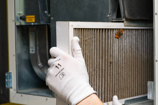 Best Duct Cleaning for Homes  in Welby, CO