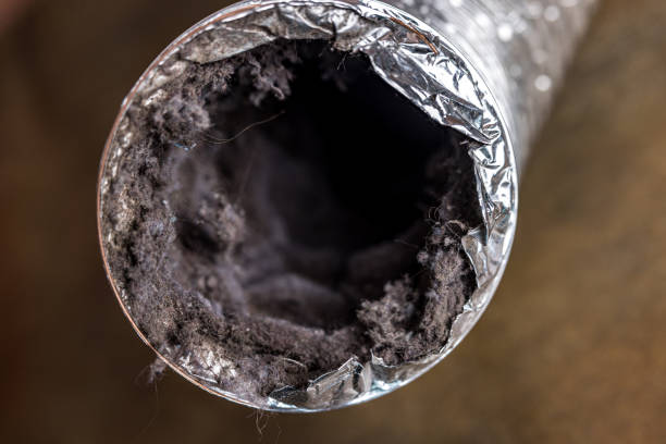 Best Affordable HVAC Duct Cleaning  in Welby, CO